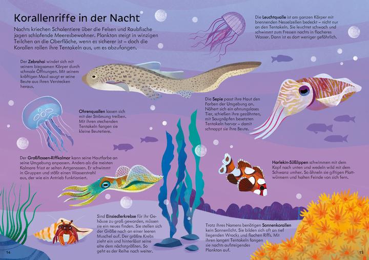 Immagine prodotto Puzzle & Buch: Das Korallenriff (300 pezzi)