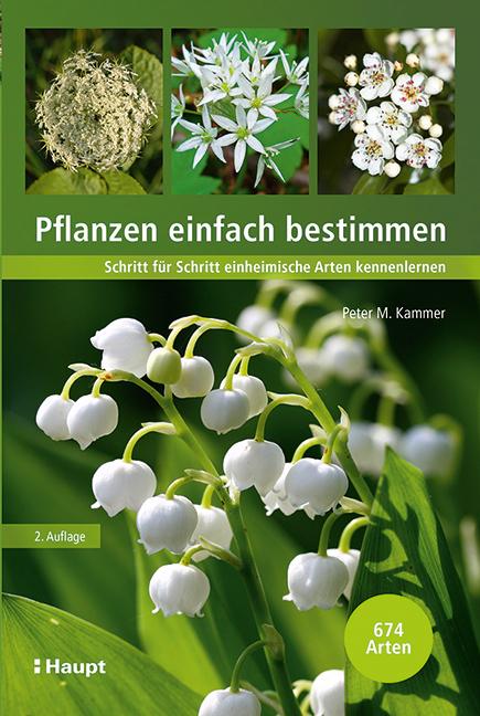 Produktbild Pflanzen einfach bestimmen (Deutsch, Peter M. Kammer, 2021)