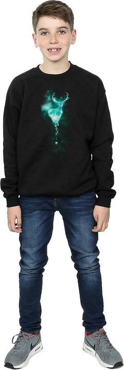 Immagine prodotto Felpa da ragazzo Patronus Mist (140, 146)
