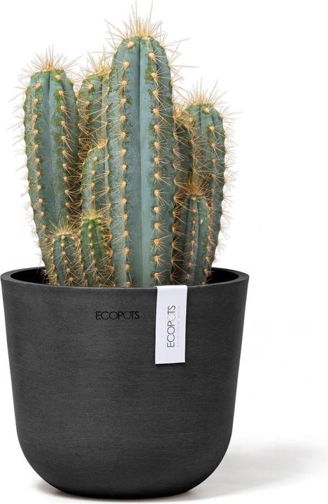 Image du produit Ecopots Oslo Mini (16 cm)