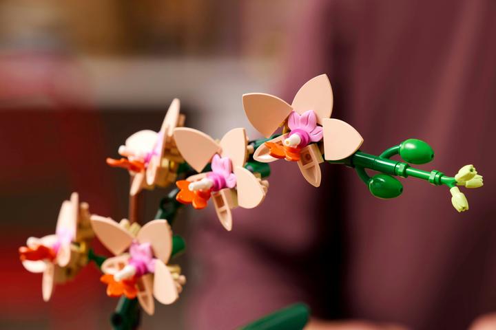 Produktbild LEGO Mini-Orchidee (10343, LEGO Botanical)