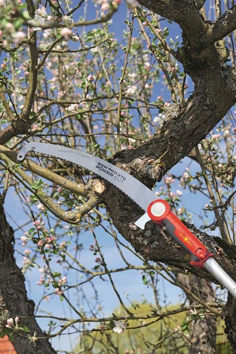 Actual product image Wolf-Garten Professional branch saw