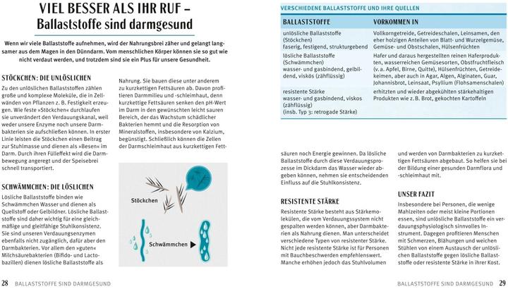 Produktbild Rezepte für einen gesunden Darm (Deutsch, Christiane Schäfer, Sandra Strehle, 2016)