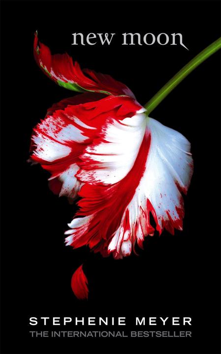 Actual product image New Moon (English, Stephenie Meyer, 2007)