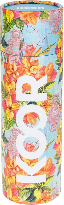 Actual product image Koor Wild gladiolus (0.50 l)