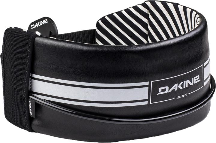 Dakine Solo Wing Harness