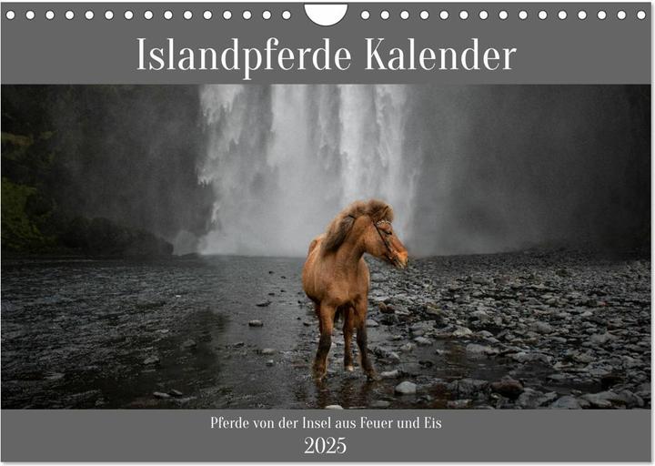 Produktbild :Islandpferde Kalender - Pferde (A4, Kein Einband, Deutsch)