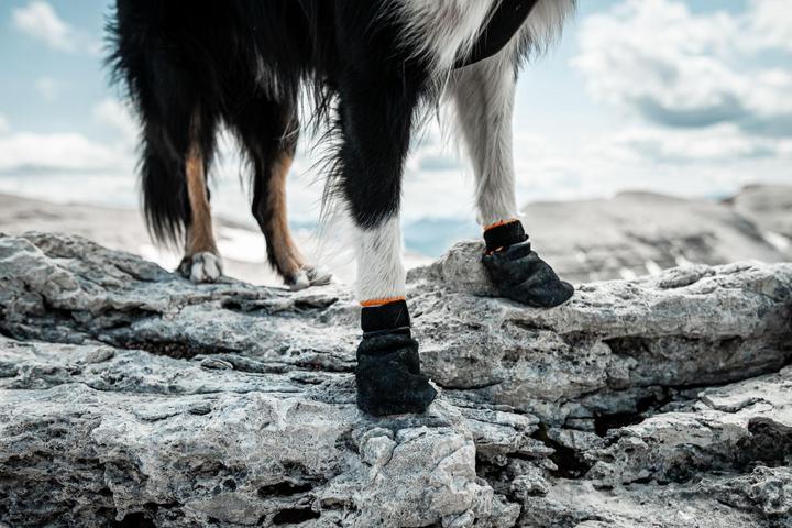 Actual product image Non-Stop Dogwear Pector Booties 4 pcs (L, Dog boots)