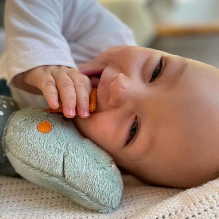 Immagine prodotto Sigikid Klett - Dragon, PlayQ