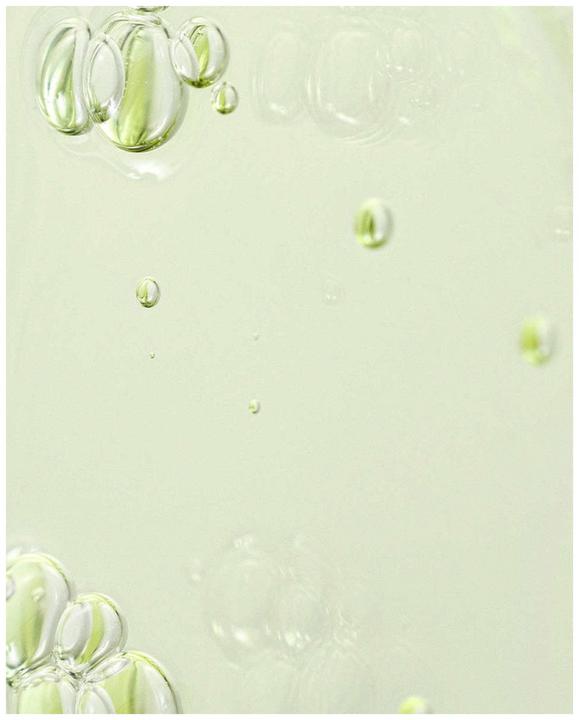 Actual product image Beauty of Joseon Green Tea + Panthenol Calming Serum (30 ml)