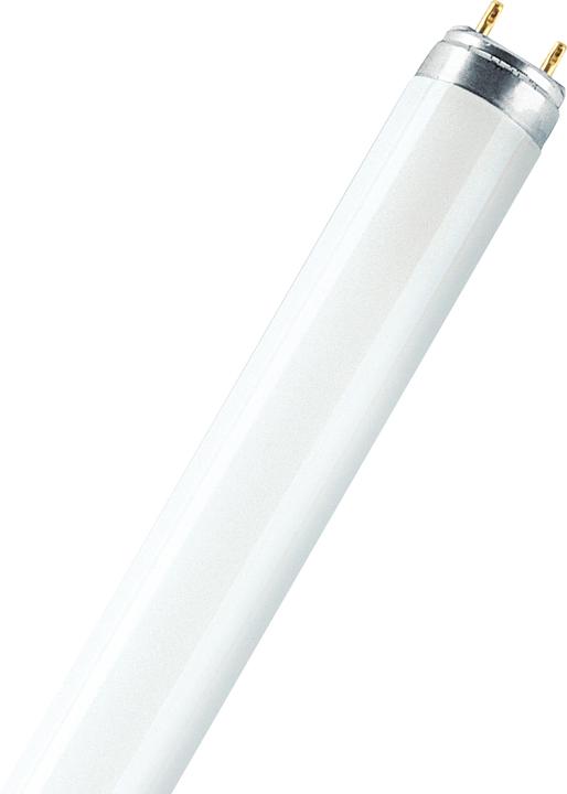 Immagine prodotto Osram Lumilux (G13, 18 W, 1350 lm, 1 x, G)