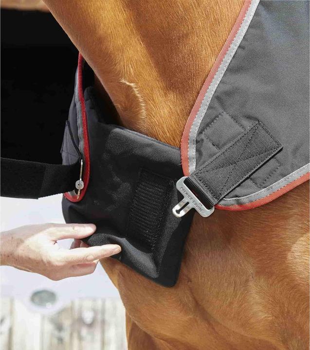 Image du produit Premier Equine 100 g (152 cm)