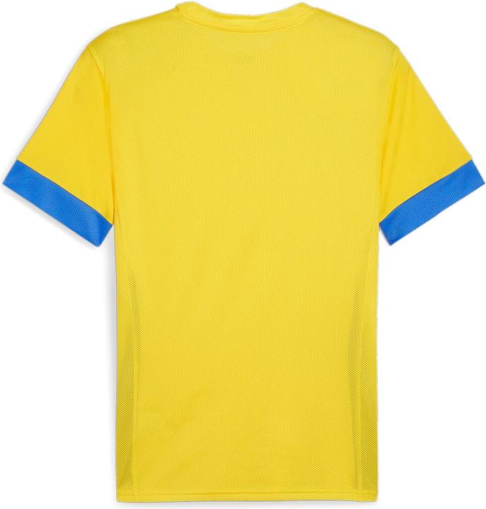Immagine prodotto Puma Maglia da partita TeamGOAL (L)
