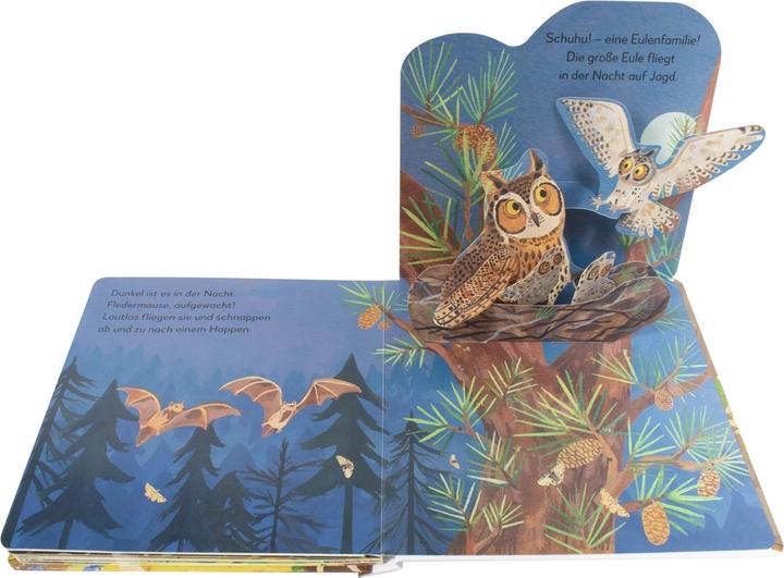 Immagine prodotto Il mio libro pop-up da ammirare. Chi vive nella foresta? (Tedesco)