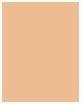 Produktbild Shiseido Synchro Skin Rad Lifting Fond de Teint No 350 (350 Maple)