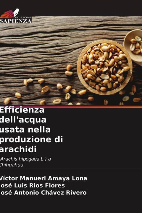 Immagine prodotto Efficienza dell'acqua usata nella produzione di arachidi (Víctor Manuerl Amaya Lona, José Luis Ríos Flores, José Antonio Chávez Rivero, 2021)
