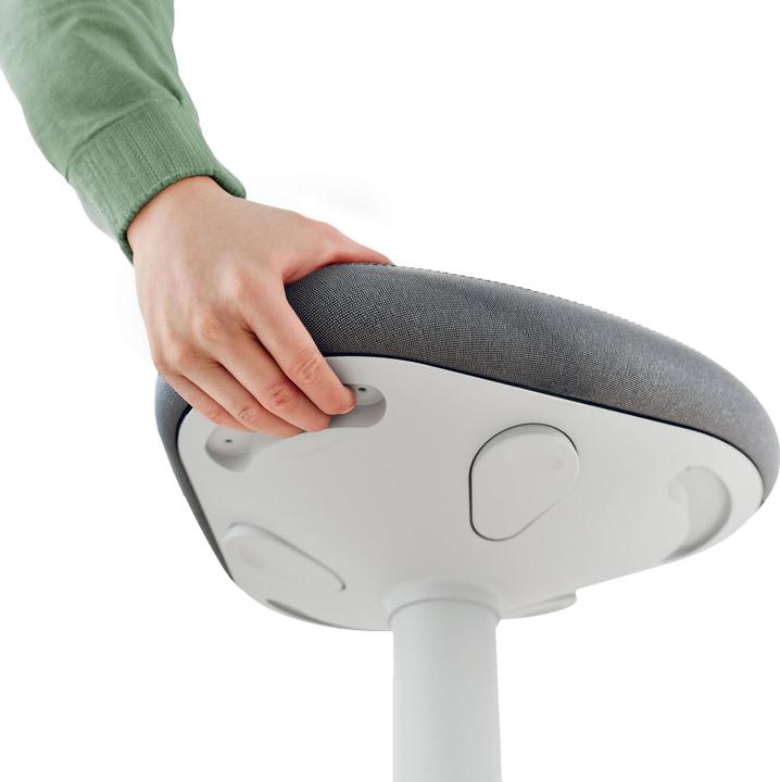 Produktbild Leitz Ergo Active