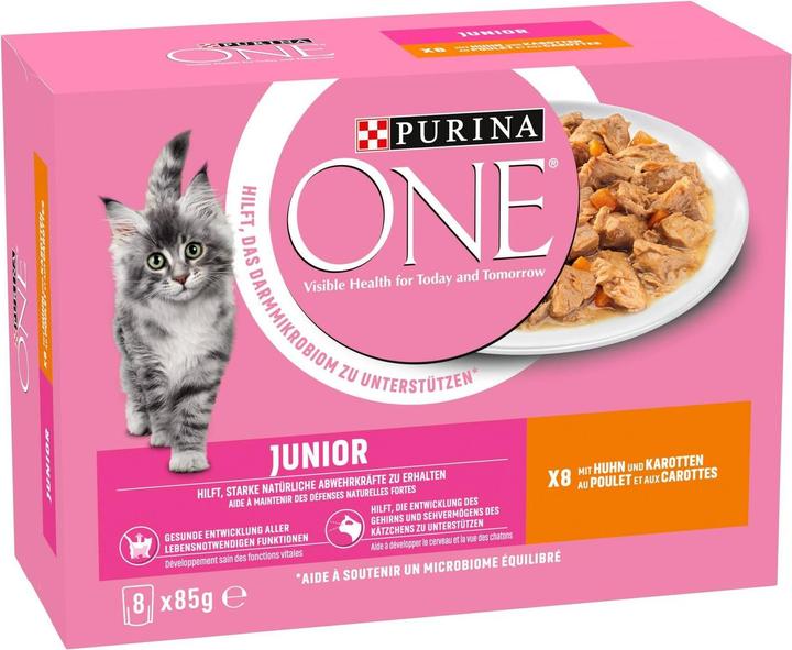 Purina ONE Junior