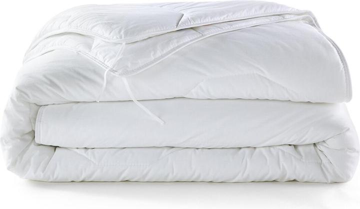Immagine prodotto La Redoute Interieurs Standard LRI (260 x 240 cm)