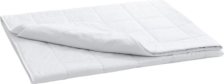 Image du produit Billerbeck Sari (500 g, 160 x 210 cm)