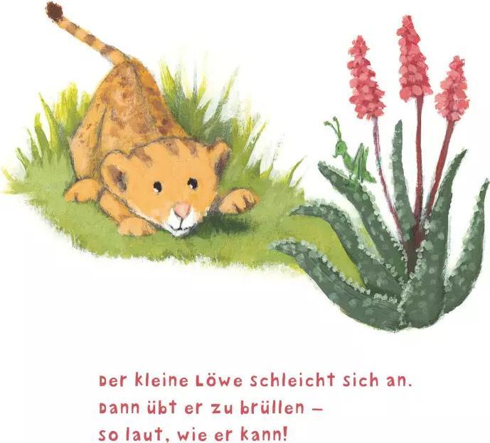 Actual product image Baby Pixi (unkaputtbar) 104: Der kleine Löwe (German, Susanne Lütje, 2021)