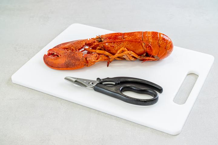 Immagine prodotto Master Class Cesoie per frutti di mare da 18,5 cm, in blister