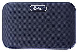 Belcat Mini-Amp GN-8D (Gitarre, 8 W)