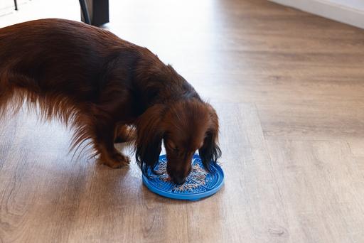 Actual product image Beeztees Pizza lick mat
