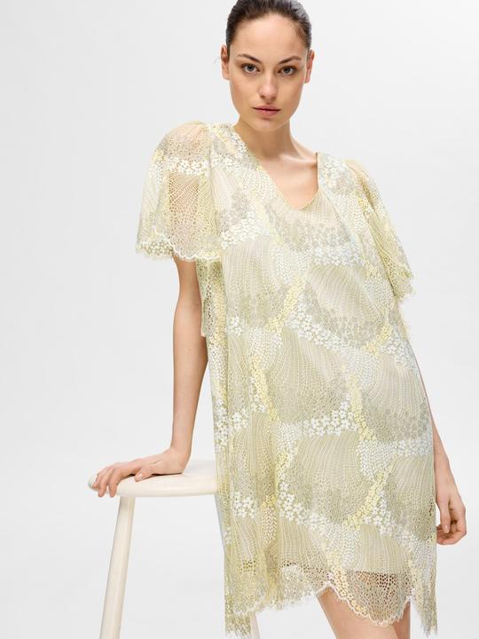 Immagine prodotto Selected Femme Mini abito in pizzo (40)