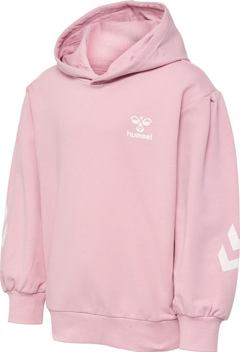 Actual product image hummel hmlDUE HOODIE (110)