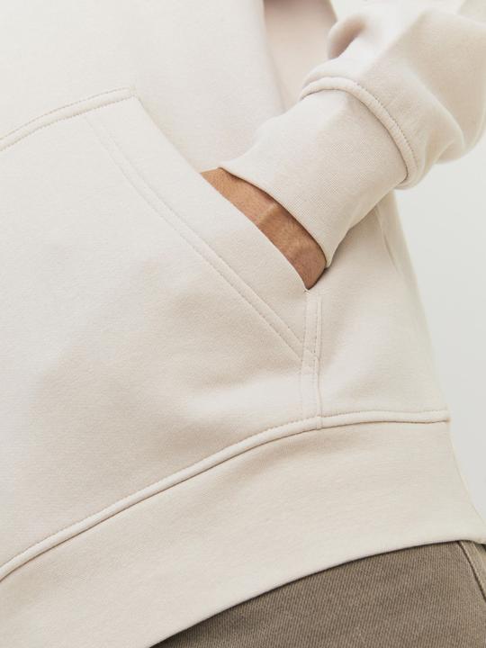 Image du produit Jack & Jones Sweat à capuche (S)