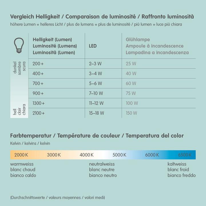 Actual product image Philips Hue Philips Globe G93 Filament (E27, 7 W, 550 lm, 1 x, G)