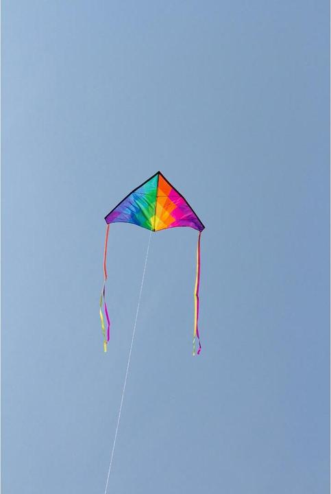 Actual product image Invento Children kite Delta Rainbow
