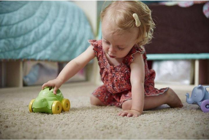 Actual product image Green Toys Turtle Push Toy Turtle