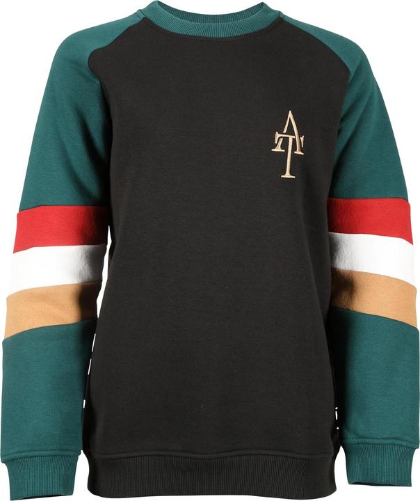 Actual product image Aubrion Girls Team Sweatshirt (128)