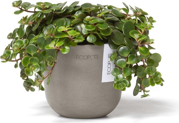 Produktbild Ecopots Oslo Mini (11.50 cm)