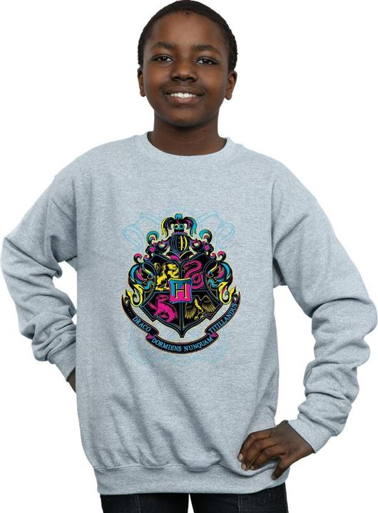 Actual product image Boys Neon Hogwarts Crest Sweatshirt (140, 146)