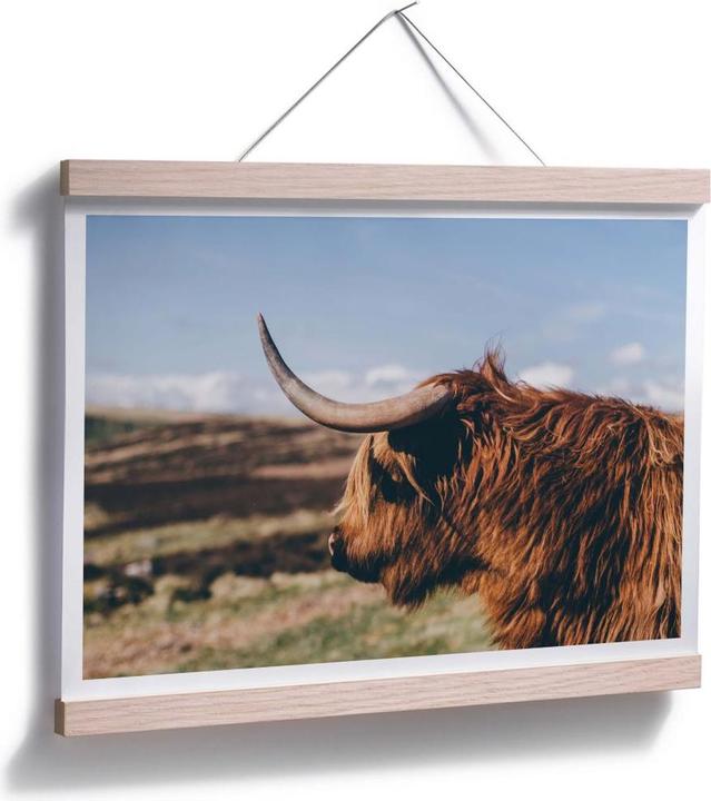 Immagine prodotto Trenddeko Mucca delle Highlands 02 (30 x 24 cm)