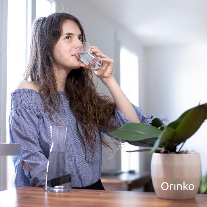 Image du produit Orinko Binchotan (3 x)