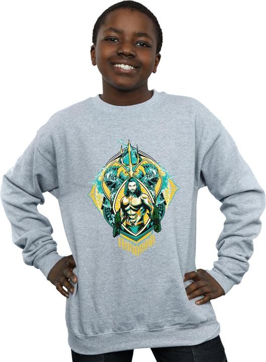Produktbild Jungen Aquaman The Trench Crest Sweatshirt (140, 146)