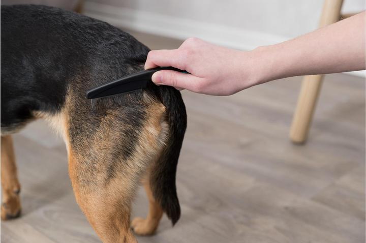 Immagine prodotto Trixie Pettine per pulci e polvere (Cane, Gatto)