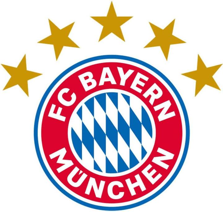 Immagine prodotto FC Bayern München Stella del Sud (32 x 30 cm)