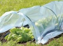 Image du produit Greenmill Folientunnel