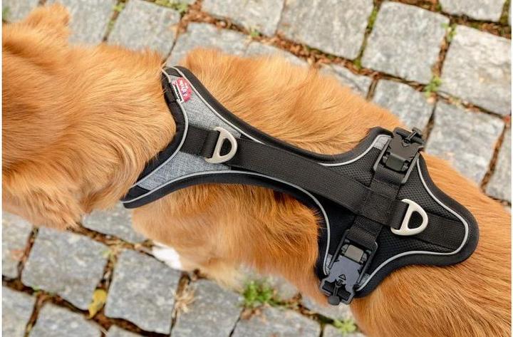 Produktbild Curli Geschirr Magnetic Belka Comfort (XS, Hund, Allgemein)