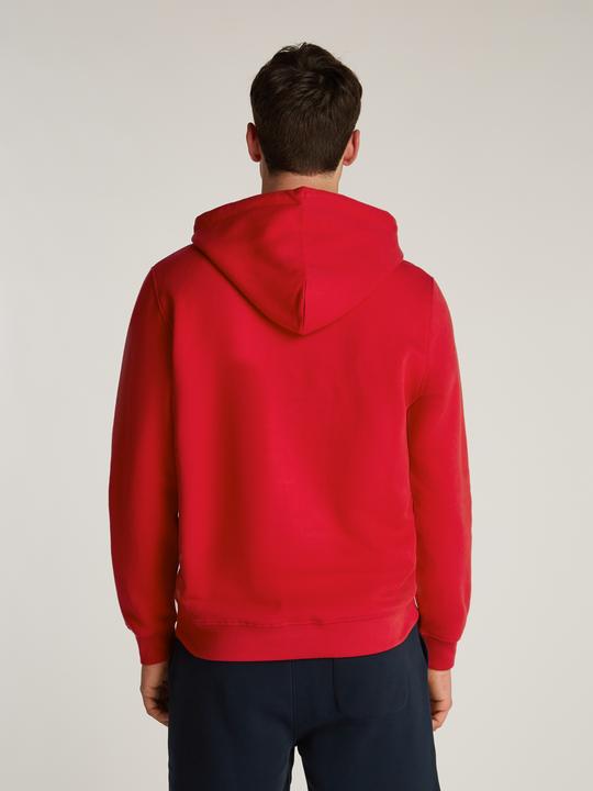 Immagine prodotto Tommy Jeans Tjm Reg Linear Logo Hoodie Ext (L)