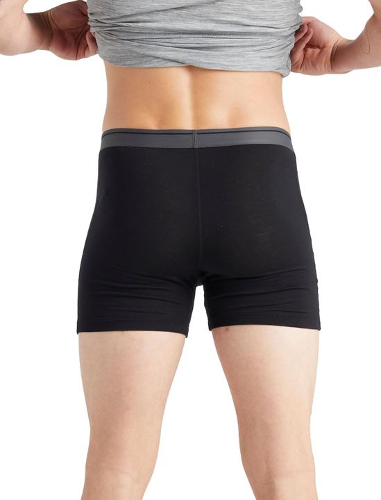 Actual product image Icebreaker Anatomica (L)