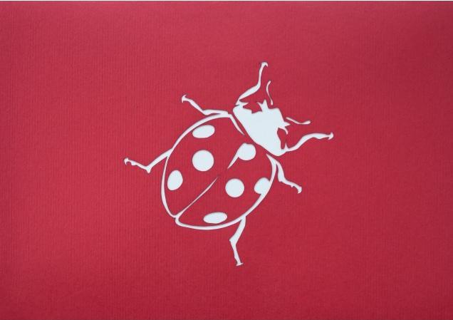 Produktbild Hervorragend 3D Pop-up Karte Marienkäfer auf Blume rot (1 Stk.)