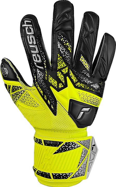 Immagine prodotto Reusch Football Attrakt Freegel Silver (7.5)