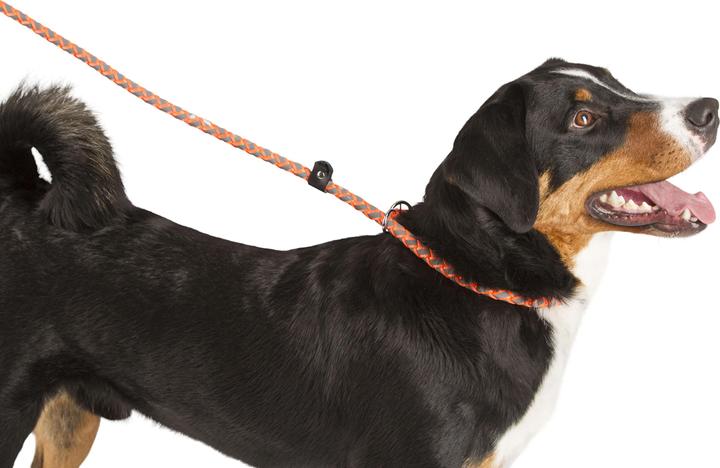 Produktbild Kerbl Maxi Safe Schlupfleine 170 cm x 12mm, neon orange (Hund, Hundesport)