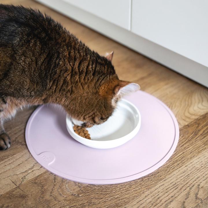Image du produit LucyBalu BOWL Porzellan Katzennapf